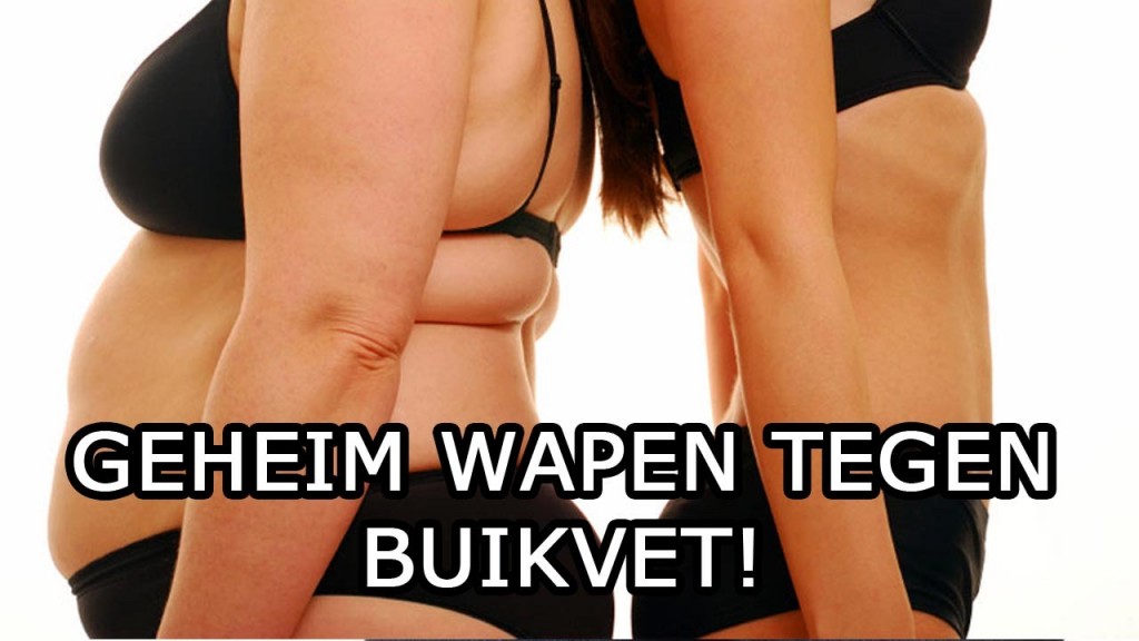 Afslank Receptenbijbel